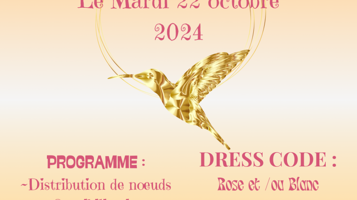 Octobre rose le 22 octobre 2024